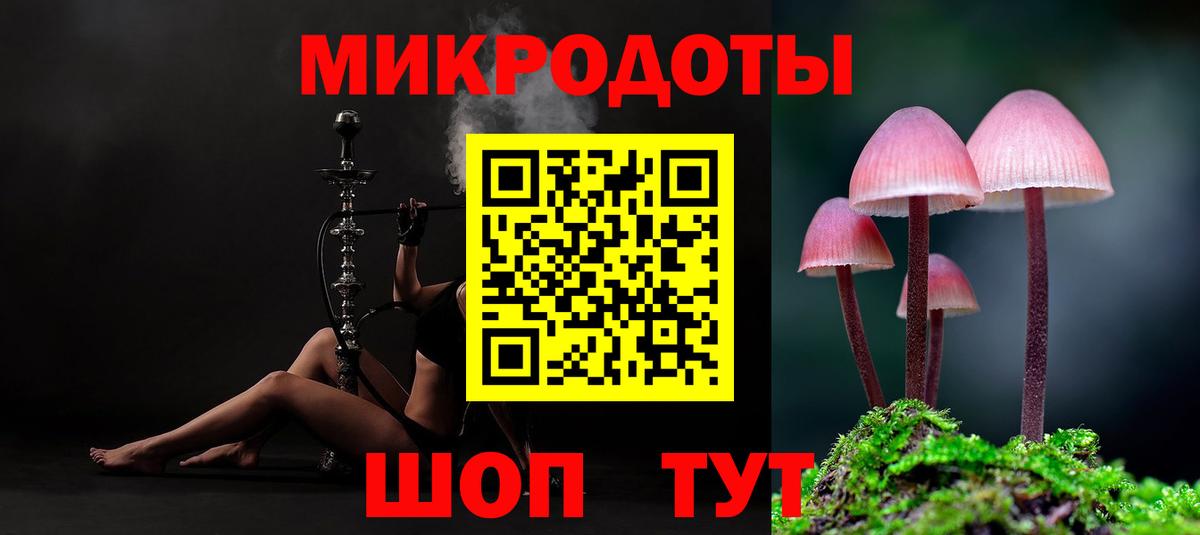 Псилоцибиновые грибы Psilocybe Звенигород