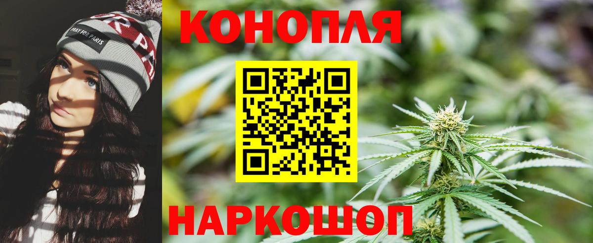 Каннабис планчик  Каннабис конопля  Вход с VPN  Звенигород  Шишки марихуана конопля 